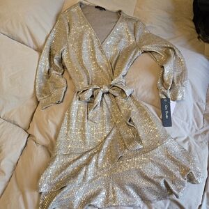 Silver Sparkle Dress